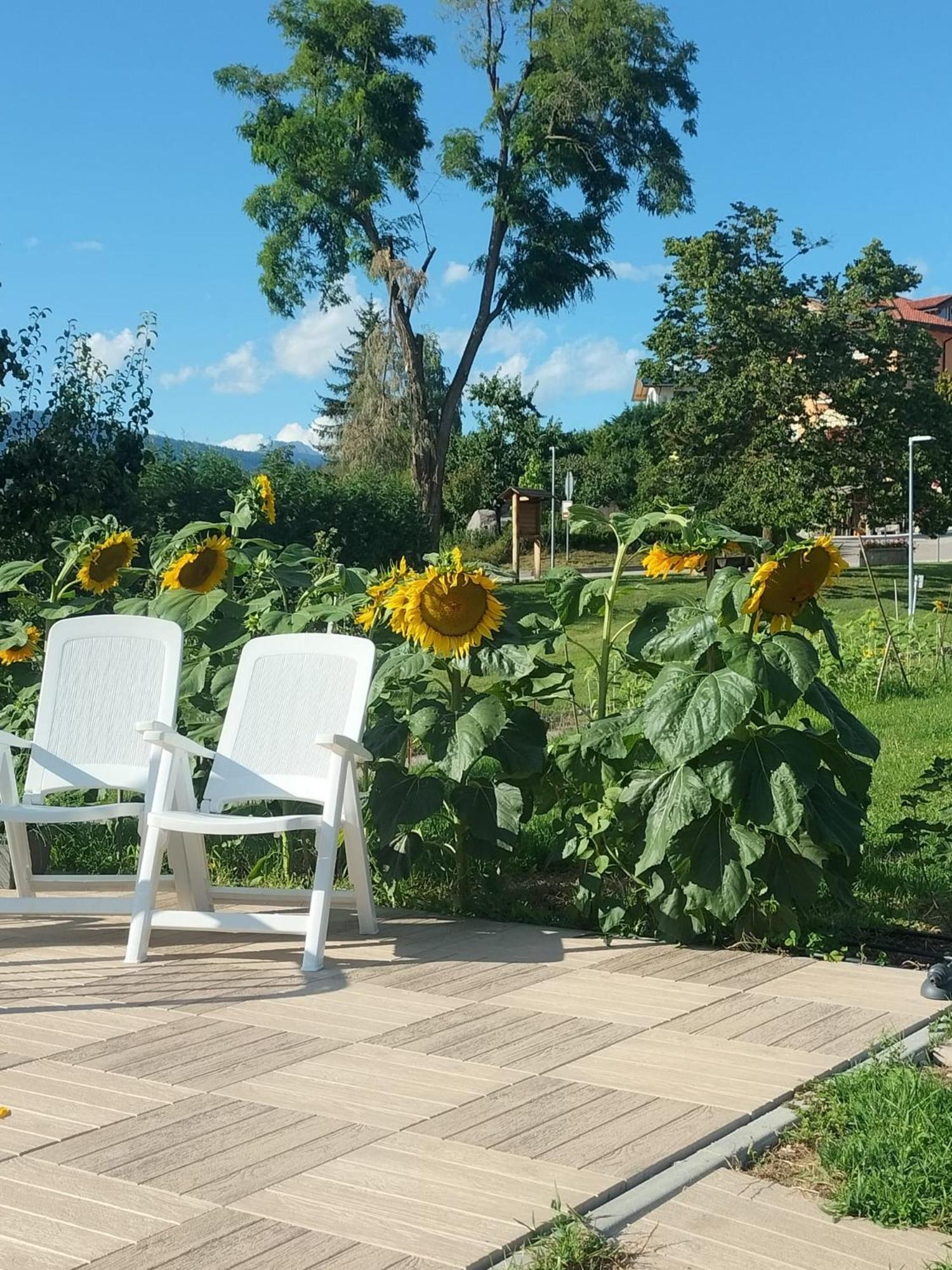 سانزينو I Girasoli المظهر الخارجي الصورة